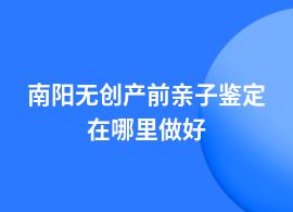 南陽無創(chuàng)產前親子鑒定一般哪里有